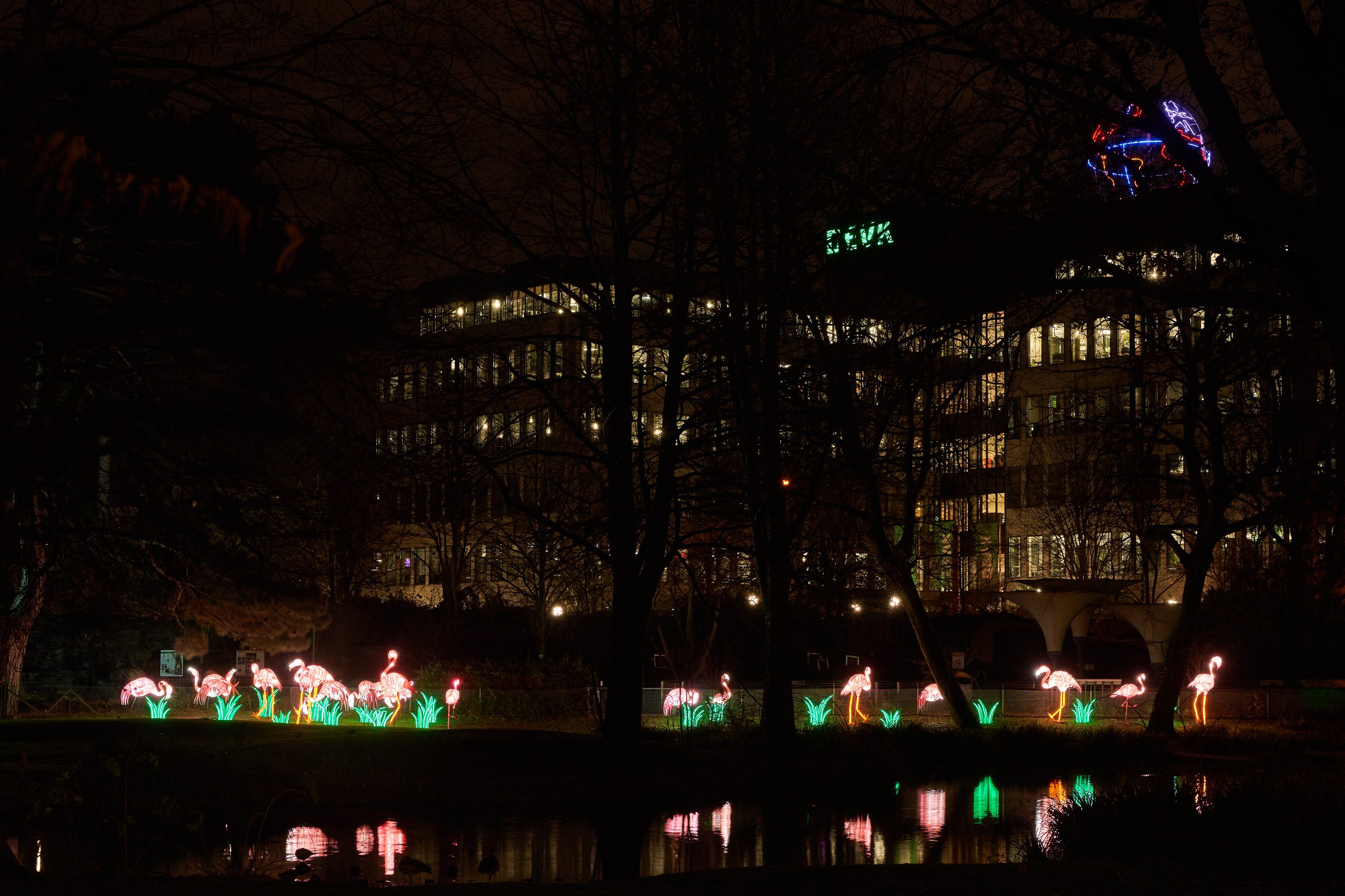 2024 01 03 Köln Zoo China Lights 1048